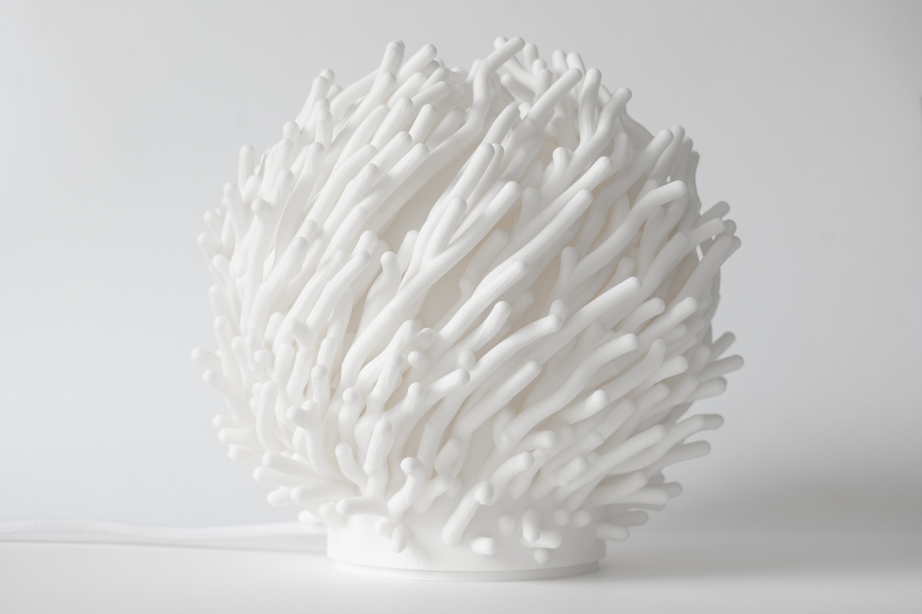 Coral