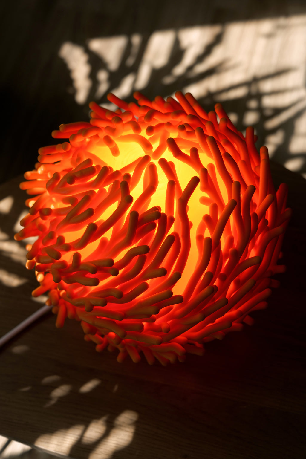 Coral