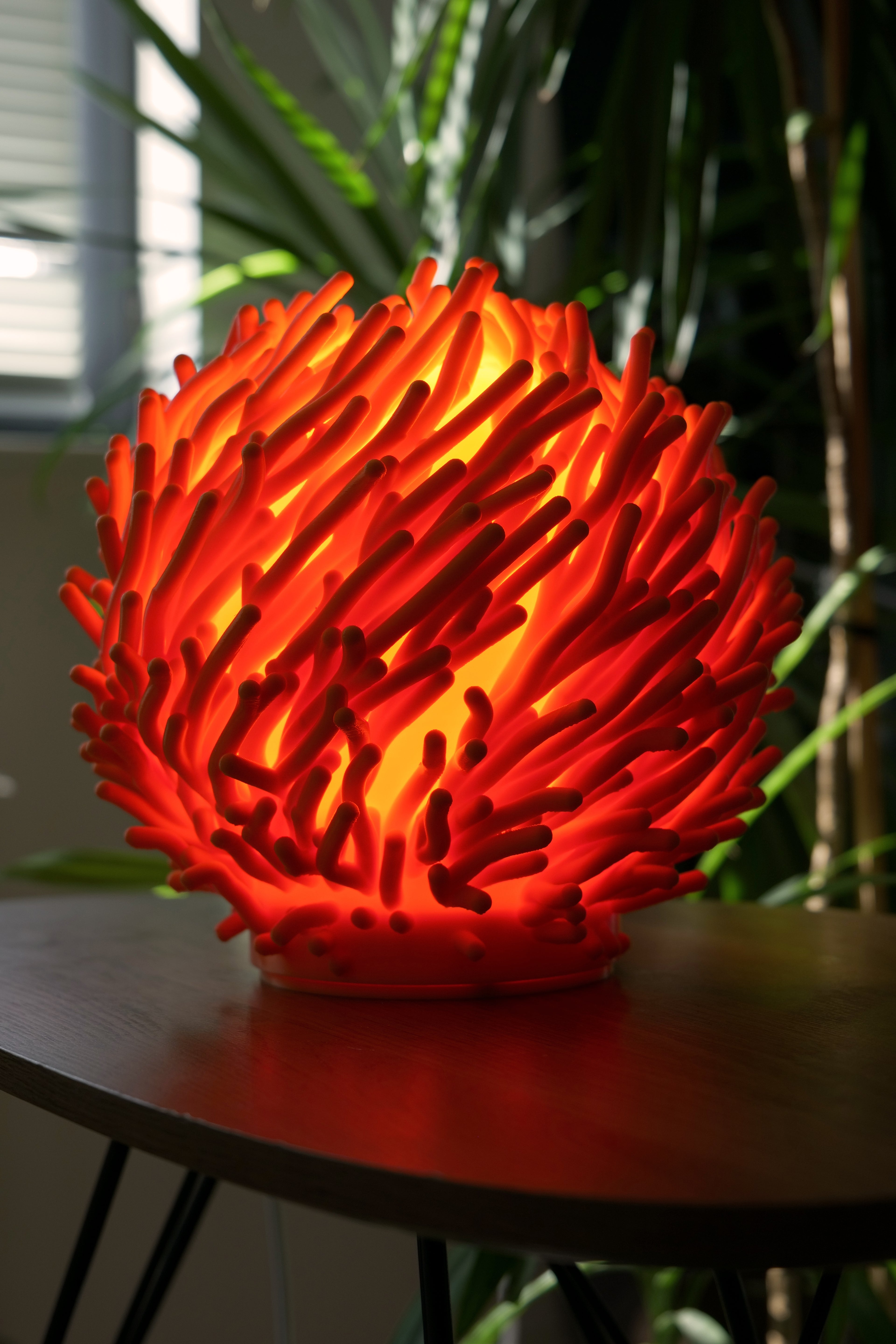 Coral