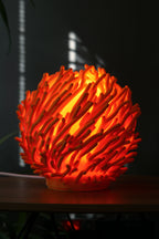 Coral