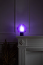 Noctera