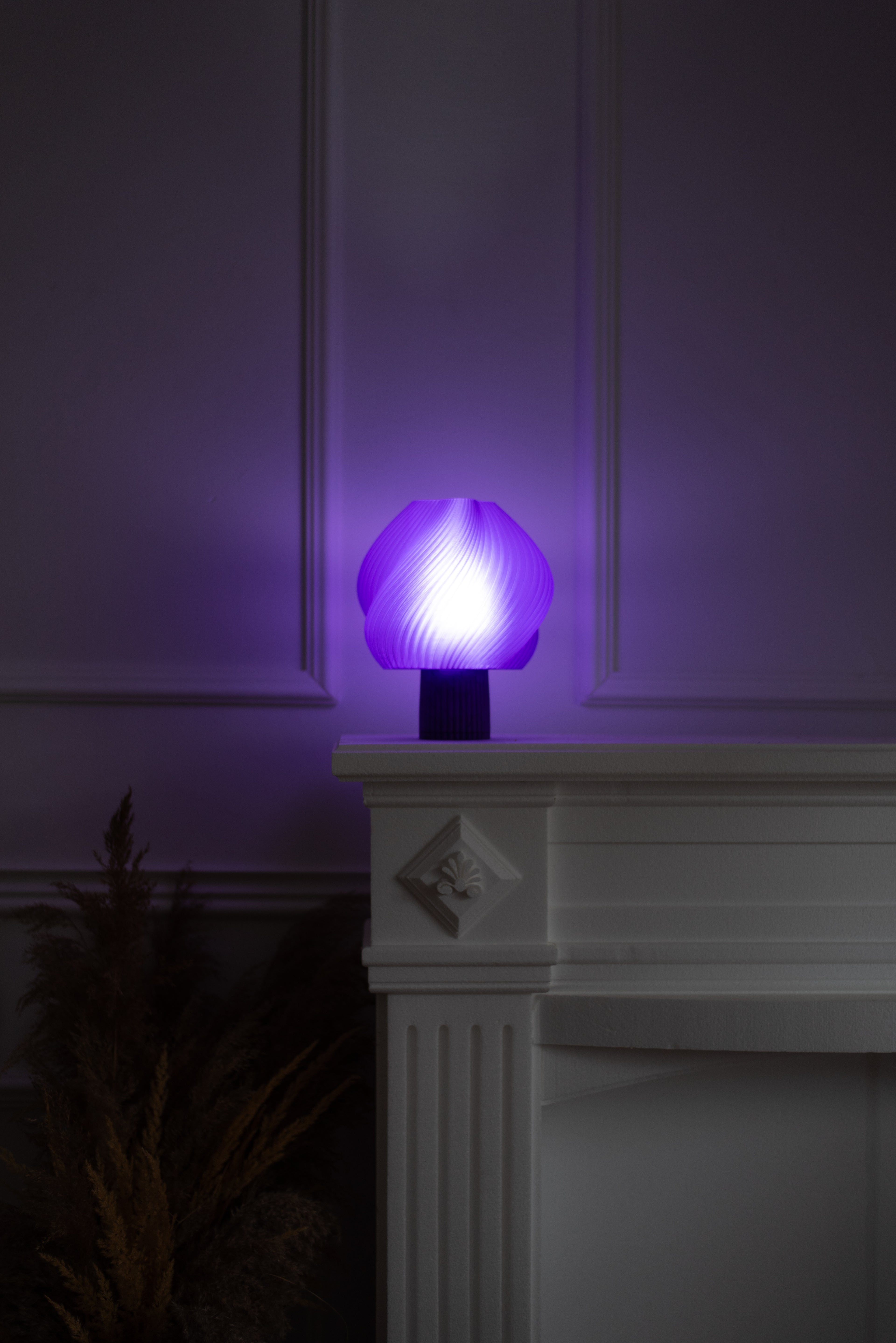 Noctera